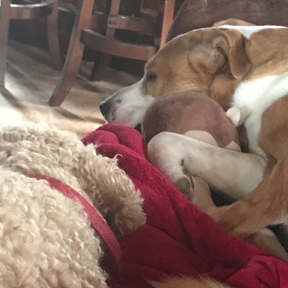 Meet your Posher, Mindy. - Picture 8 of 10